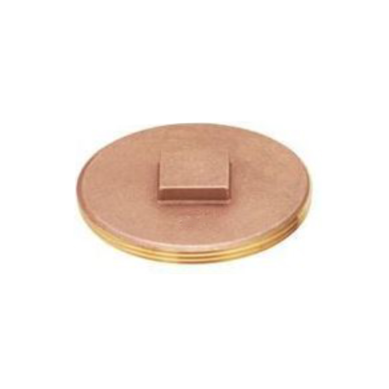 Plumbing Fittings & Supports - Everflow-Cleanout Plug