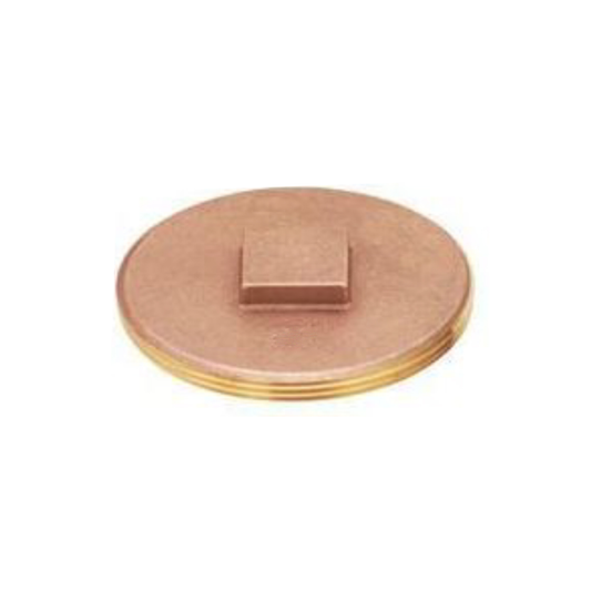 Plumbing Fittings & Supports - Everflow-Cleanout Plug